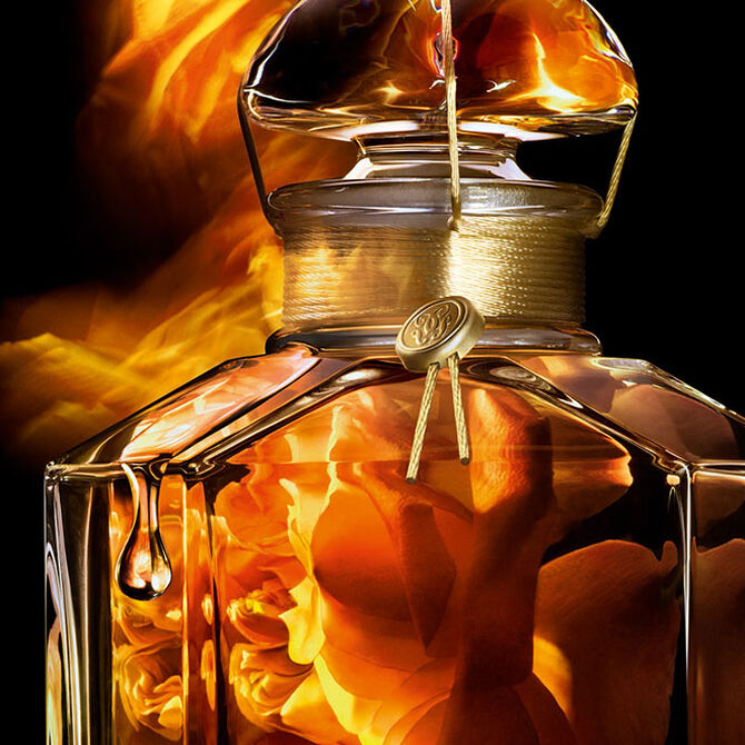 Le parfum ⋅ GUERLAIN